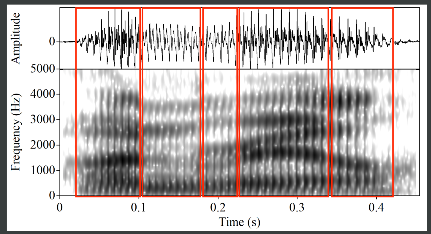 Segmentation